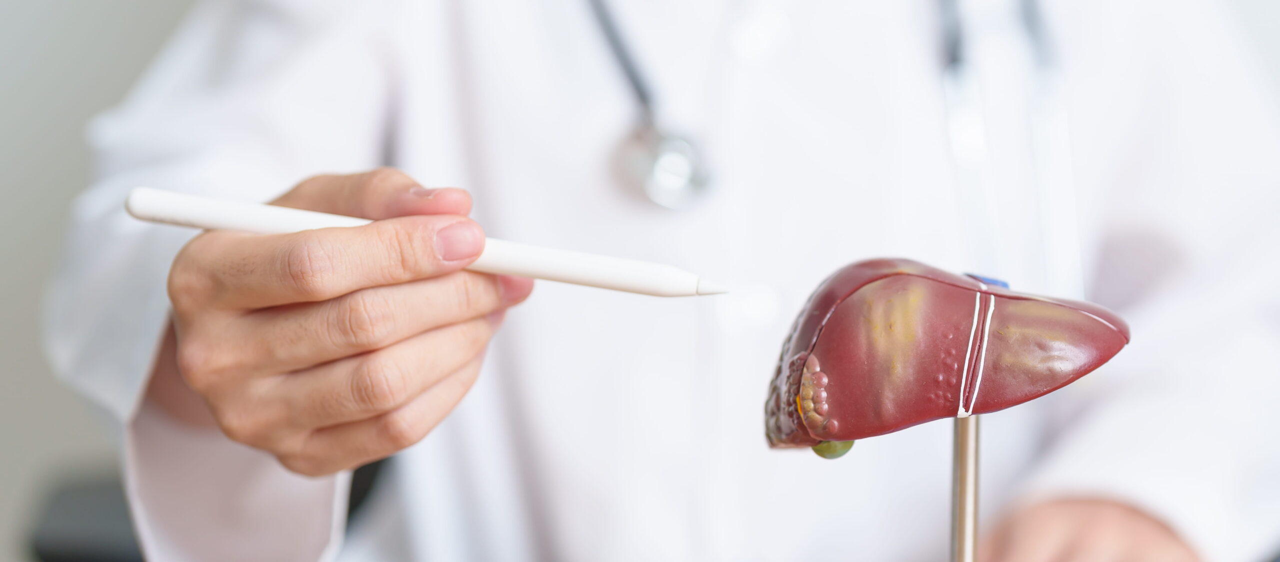 Physician pointing to diagram of liver
